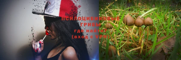 трава Баксан