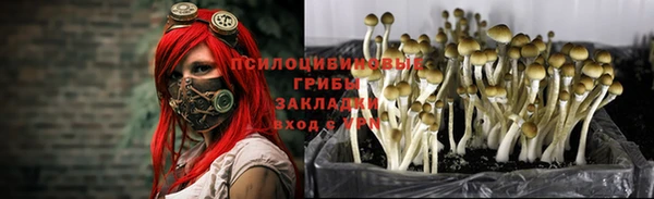 трава Баксан