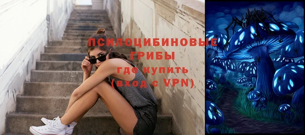 ALPHA PVP Беломорск
